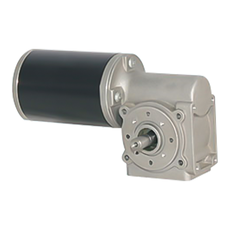 63JW/63ZY105 Permanent Magnet Borstad snäckväxelmotor