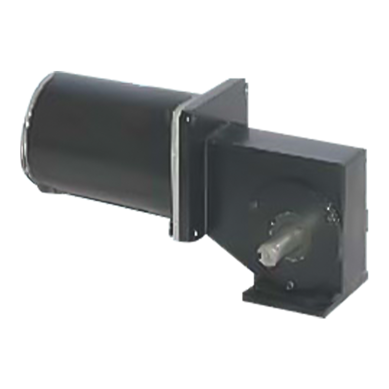 90JW/83ZY125 2000-3000 RPM Permanent Magnet Borstad snäckväxelmotor