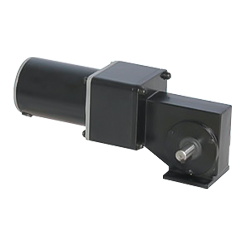 90JW/JB/80ZY115 1:10 Permanent Magnet Borstad snäckväxelmotor