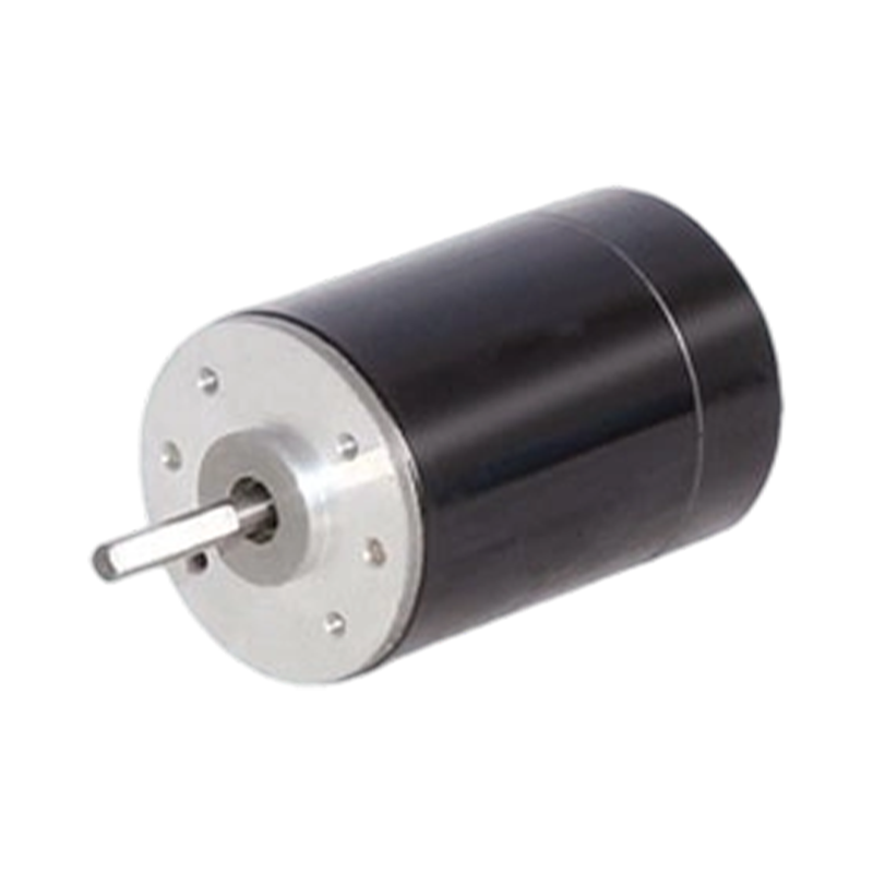 38ZY63 38mm 24V/48V borstad likströmsmotor med permanent magnet