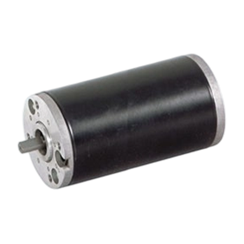 63ZY125 63mm hög skyddsnivå Permanent magnet Borstad likströmsmotor
